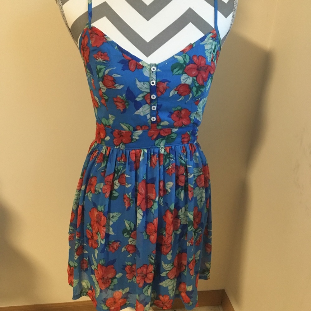 Hollister Blue $ Red Floral Fit and Flare Dress